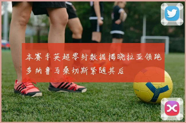 本赛季英超零封数据揭晓拉亚领跑多纳鲁马桑切斯紧随其后