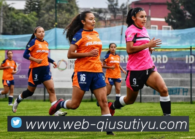 球速体育APP 封面图