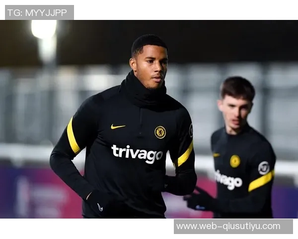 斯基拉报道维罗纳计划租借巴尔丹齐并进行买断谈判