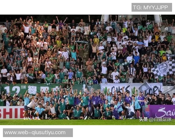 大埔与国安战平创下香港球队亚冠二级联赛三项新纪录